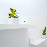 Apartment Cantinho Flores I